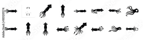 squid icons collection. Animal icon set. Isolated on White background