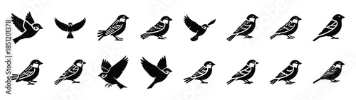 sparrow icons collection. Animal icon set. Isolated on White background