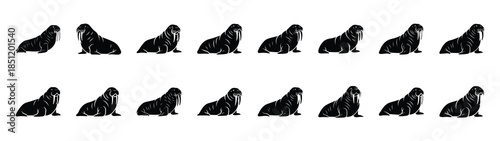 walrus icons collection. Animal icon set. Isolated on White background