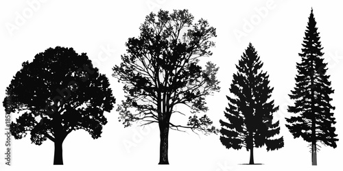 Silhouette collection of diverse trees oak maple pine and spruce