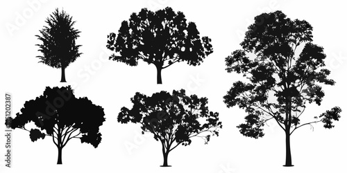 Silhouettes of various deciduous trees against a plain white background