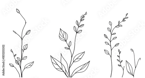 forest plant silhouettes, woodland flora shadow pack, pine needle silhouettes, forest floor plant forms, field weed outlines, bramble shadow shapes, fern silhouette bundle, thorn plant outlines, wildf