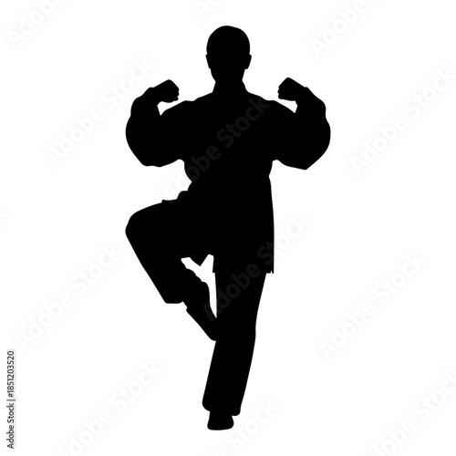 Silhouette of person demonstrating martial arts pose stance.