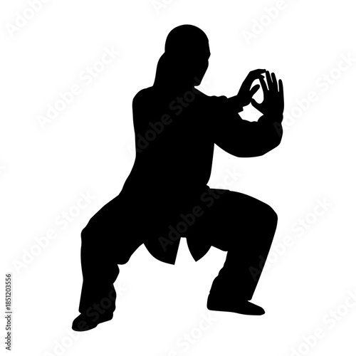 Silhouette of person performing martial arts stance.