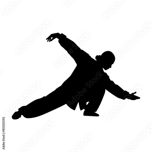 Silhouette of person performing martial arts pose.