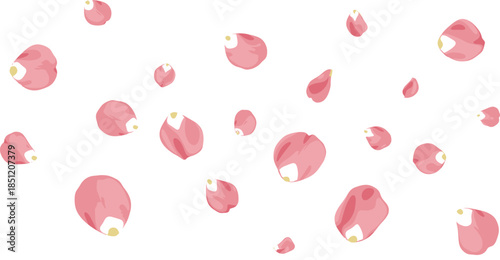 Elegant vector illustration of falling pink rose petals on a white background for romantic wedding invitations beauty branding and floral spring designs.