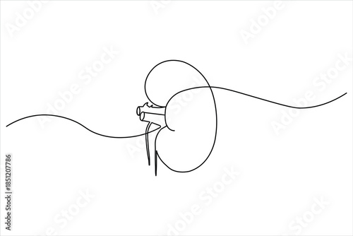 Modern medical icon of the human excretory system