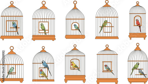 Large collection of classic bird cages with colorful parrots and parakeets for pet shop branding interior home decoration and avian domestic wildlife illustration design