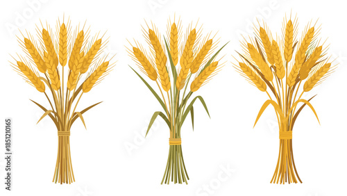 Three distinct bundles of golden wheat stalks, meticulously tied together, symbolizing a bountiful harvest and agricultural abundance.