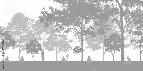 Silhouetted trees and people enjoying a calm peaceful outdoor scene