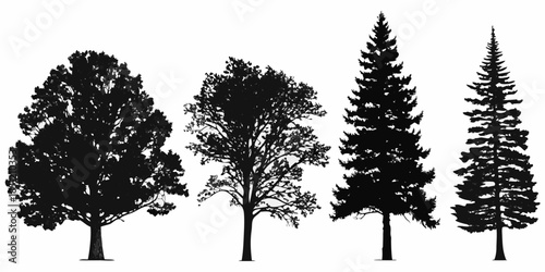 Silhouettes of various trees against a stark white background