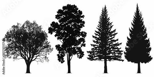Four distinct tree silhouettes showcase varying shapes and foliage styles
