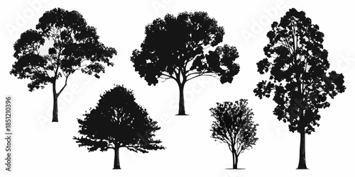 A collection of silhouetted trees against a stark white background