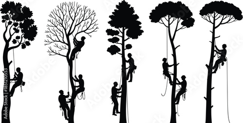 Arborist Silhouette Set Tree Climber Working with Ropes and Safety Gear for Forest Service Lumberjack Woodcutter Industry Isolated Vector Illustration