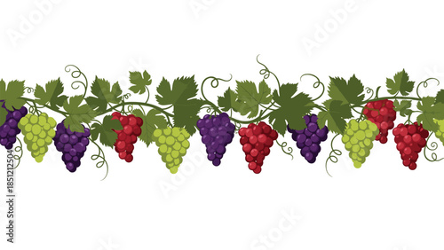 Extended horizontal border featuring lush grape vines laden with abundant bunches of red, green, and purple grapes.