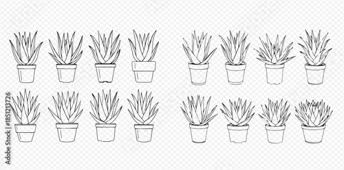 Set of hand drawn succulent plants in pots, houseplant collection, line art style.