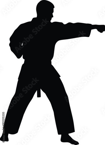 Silhouette of a martial artist performing a powerful straight punch in a classic karate stance