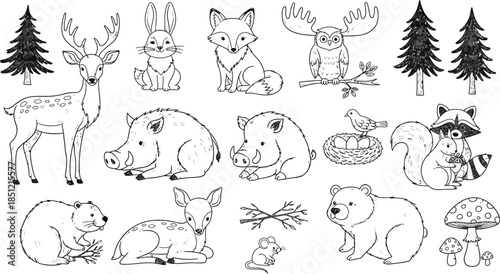 Whimsical Forest Animals Coloring Page for Kids and Adults