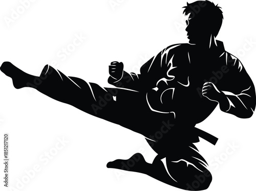 A dynamic martial artist performing a powerful mid-air flying kick in silhouette