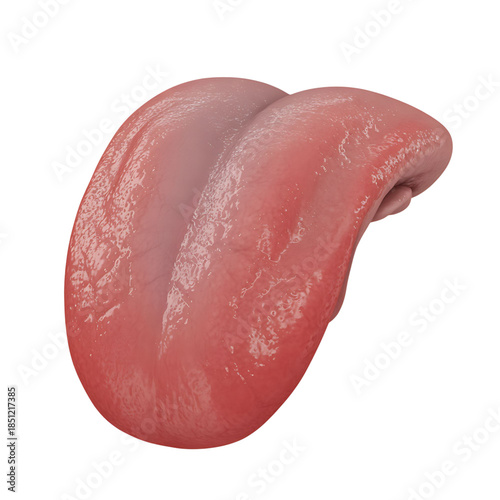 Human Tongue Isolated on a Transparent Background