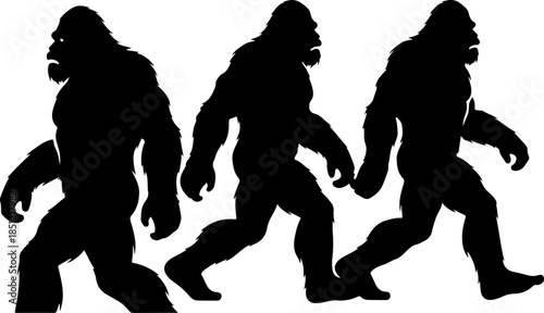 Sasquatch Bigfoot Silhouette Trio Walking and Standing Vector Art