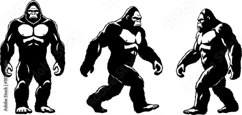 Sasquatch Bigfoot Silhouette Trio Walking and Standing Vector Art