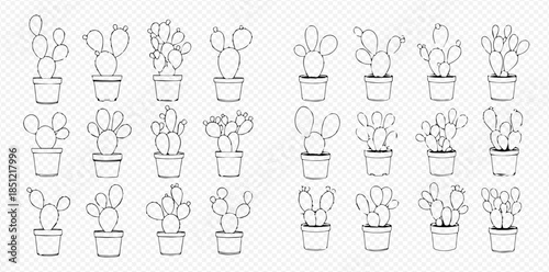 Set of various potted prickly pear cacti in outline style, perfect for botanical illustrations and decorative elements.