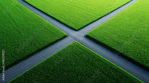 Roads intersecting lush green fields creating an X shape, symbolizing choice and direction in nature