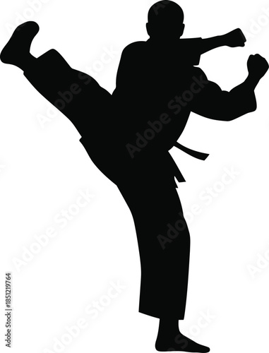 Dynamic silhouette of a martial artist executing a powerful high kick with clenched fists