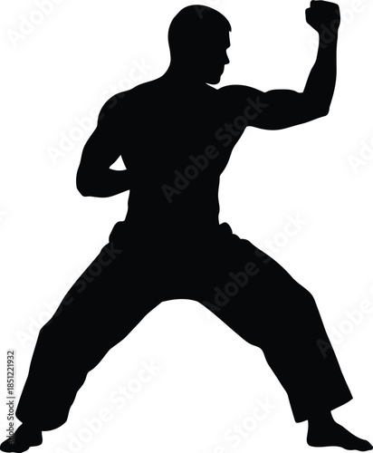 Powerful silhouette of a man in a martial arts fighting stance, ready for action