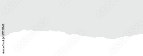 white torn or ripped paper isolated on transparent png background. vector illustration.