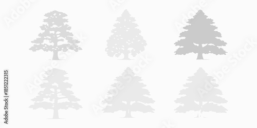 Silhouettes of coniferous trees in varying shades of gray on white background