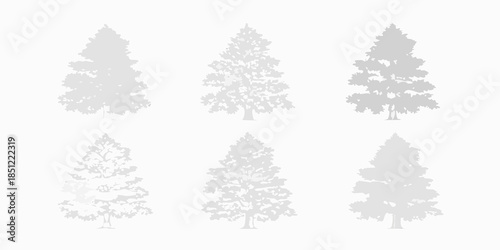 Silhouettes of coniferous trees in varying shapes and sizes against a white background