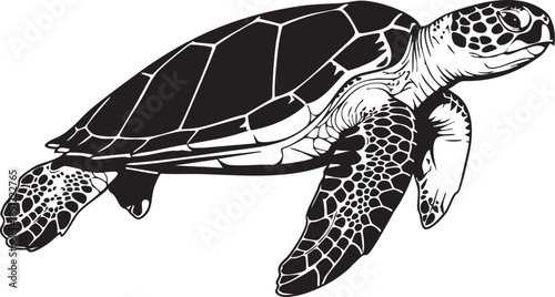 Cute cartoon turtle vector illustration of a slow reptile with a green shell isolated on white background for nature and wildlife design