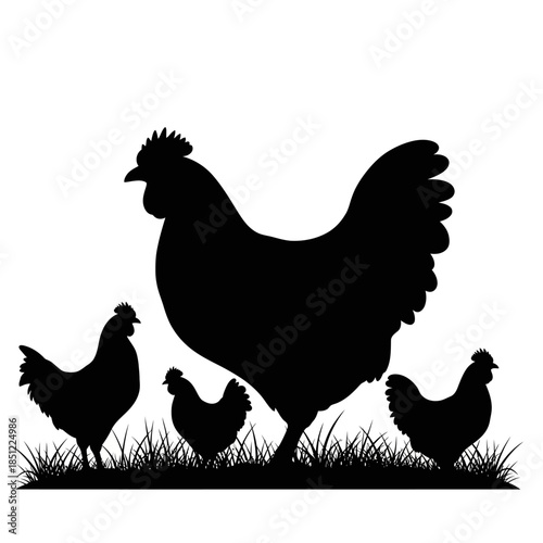 Silhouettes of a rooster with hens standing in grass a simple farm animal design