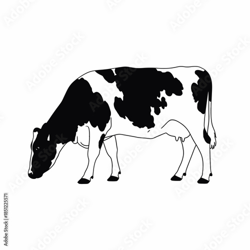 A detailed illustration of a black and white cow grazing peacefully in a field