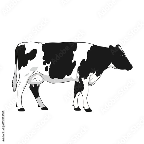 A simple illustration of a black and white cow standing in a side profile view