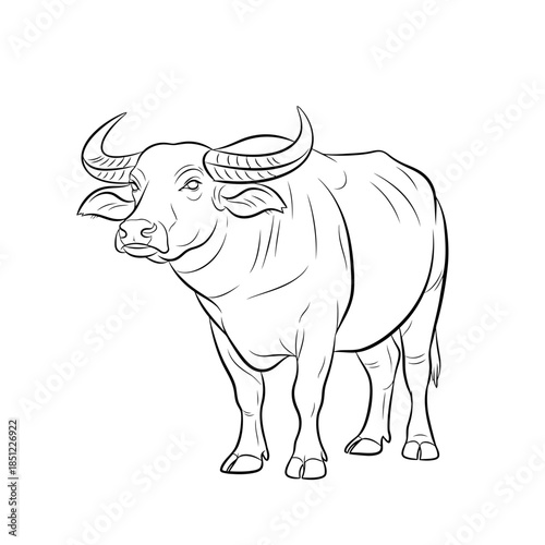 A vector illustration of a majestic bull standing proudly in a clean white environment from a straightforward viewpoint.