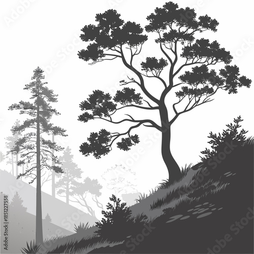 Grayscale forest hillside with trees and depth layers