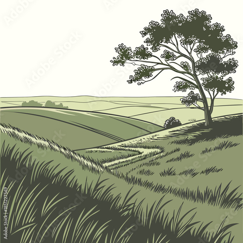 Green hillside with tree and grassy fields landscape