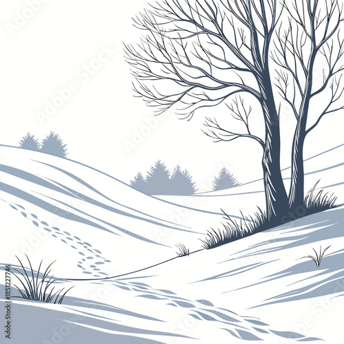 Snowfield with bare tree and subtle elevation ripples