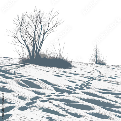 Snowfield with bare trees and subtle elevation ripples