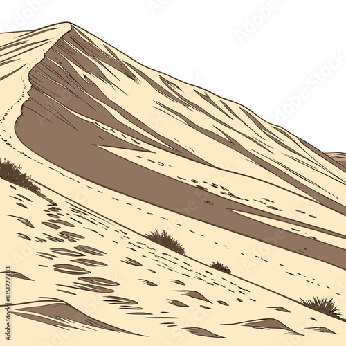 Desert slope with sediment color bands and sparse vegetation