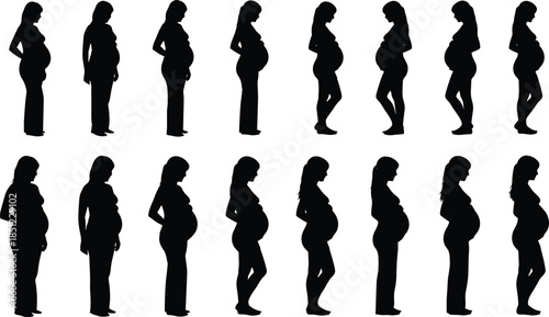 Pregnant women silhouette collection showing pregnancy stages maternity body profiles vector illustration set isolated on white background black design