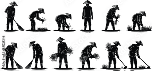 Traditional Asian Farmers Silhouette Set Showing Rice Farming Activities, Planting, Weeding, Harvesting and Field Work Illustration in Rural Countryside Scene