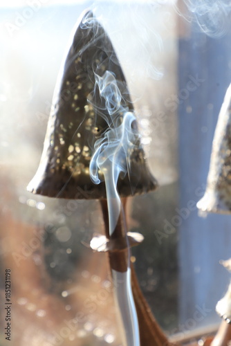 volutes de fumée devant une lampe champignon