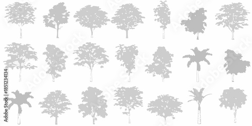 Silhouettes of various tree types against a stark white background