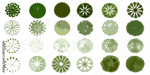 An assortment of top down views of various trees and shrubbery designs