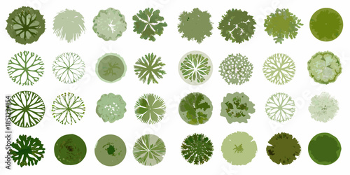 A collection of diverse tree canopy shapes and shades of green