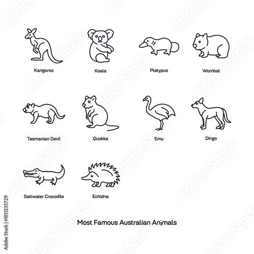 Australian Wildlife and Apex Predators Hand-Drawn Vector Icon Set